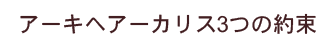 アーキヘアーカリス3つの安心
