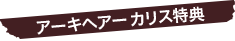 アーキヘアーカリス特典
